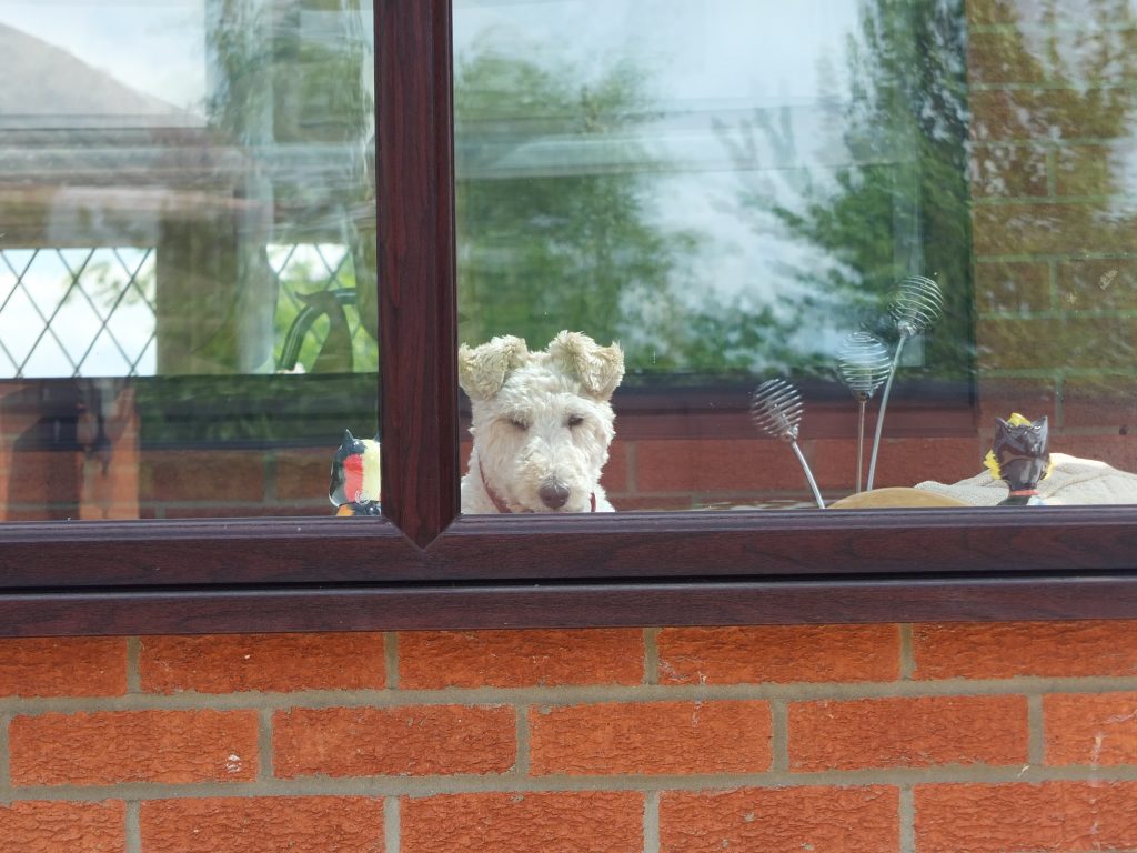 double glazing repairs